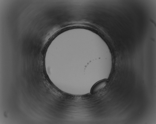 X0000103231360200809251254