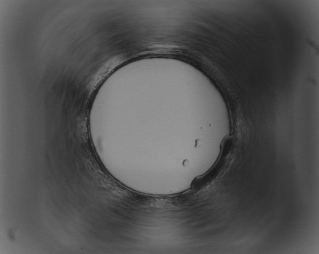 X0000103231362200809251254