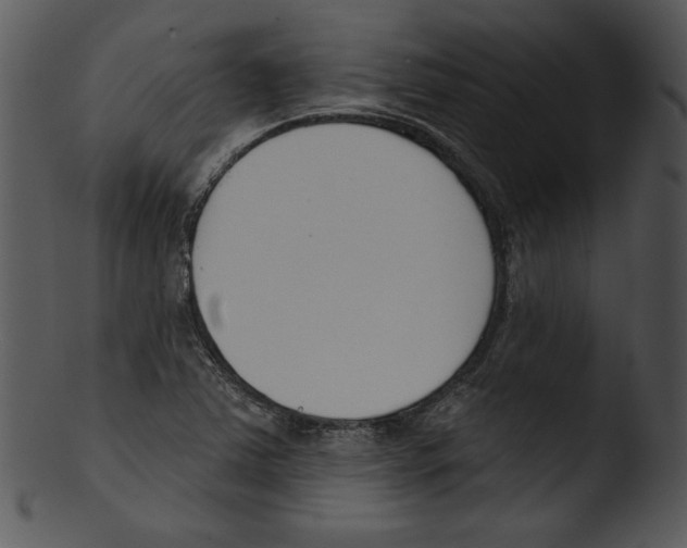 X0000103231363200809251254