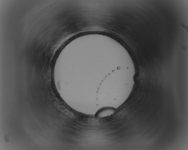 X0000103231364200809251254