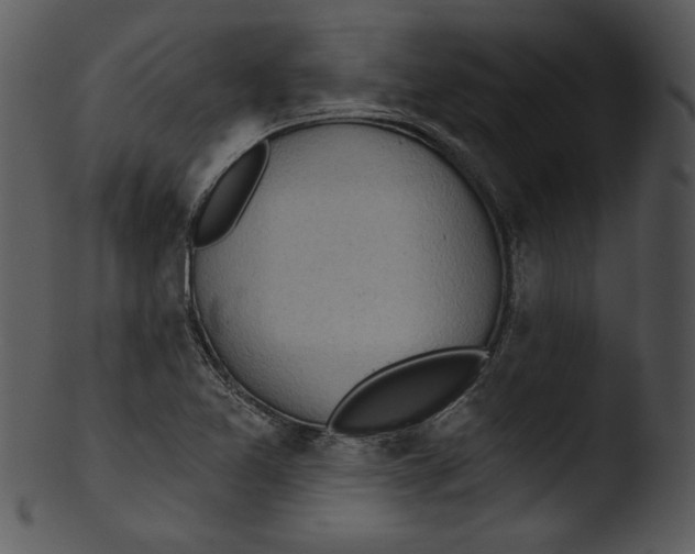 X0000103231365200809251254
