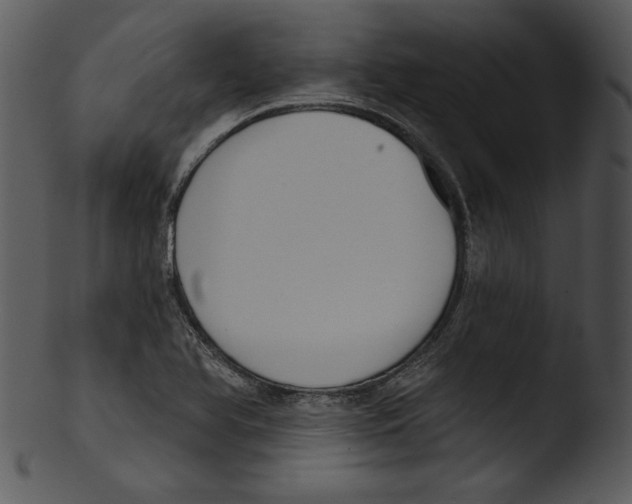 X0000103231366200809251254