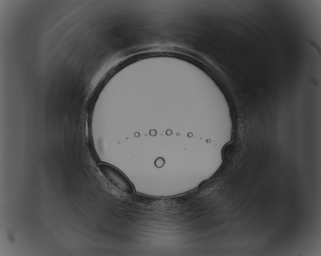 X0000103231368200809251254