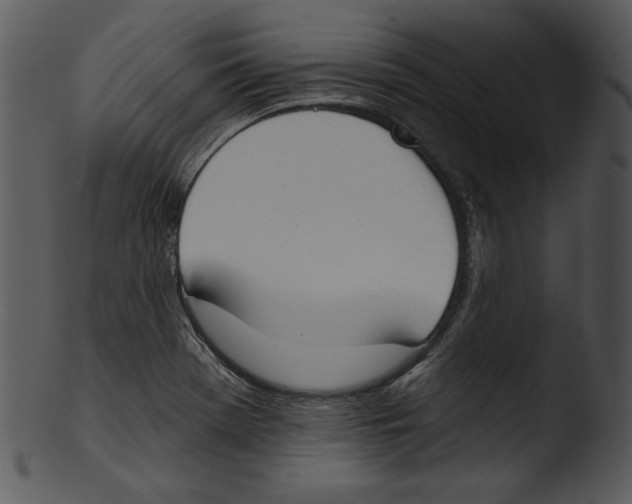 X0000103231369200809251254