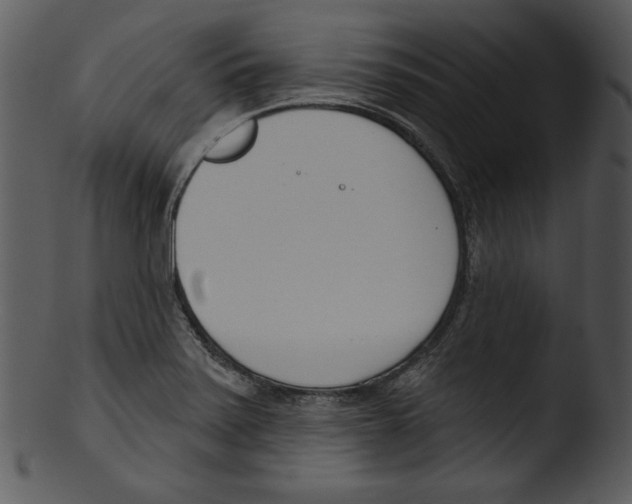 X0000103231371200809251254