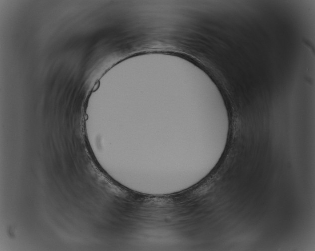 X0000103231374200809251254