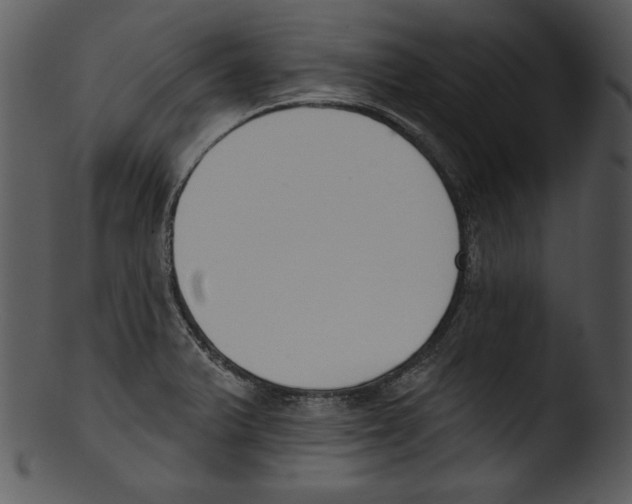 X0000103231375200809251254
