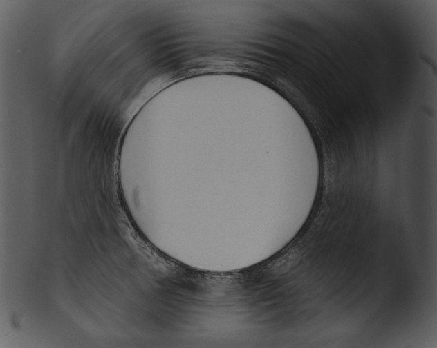 X0000103231378200809251254