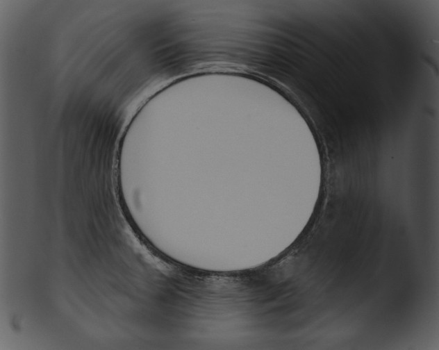 X0000103231379200809251254