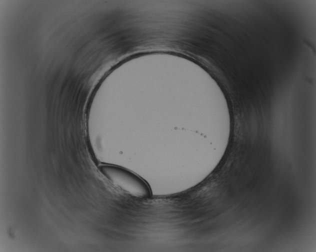 X0000103231380200809251254
