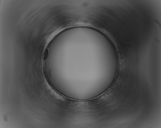 X0000103231381200809251254