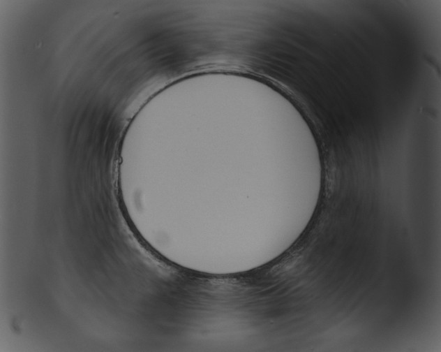 X0000103231383200809251254
