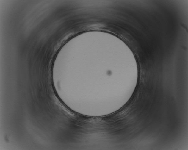 X0000103231384200809251254