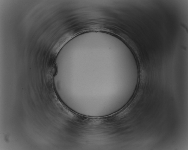 X0000103231385200809251254