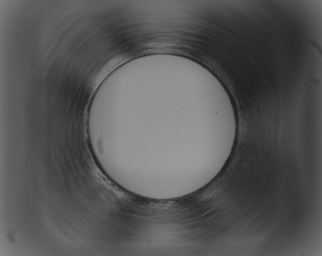 X0000103231386200809251254