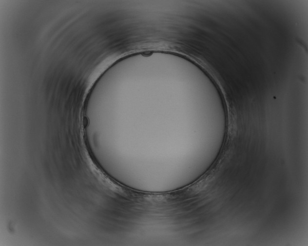 X0000103231389200809251254