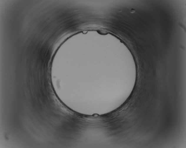X0000103231392200809251254
