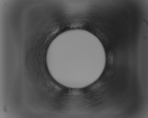 X0000103231393200809251253