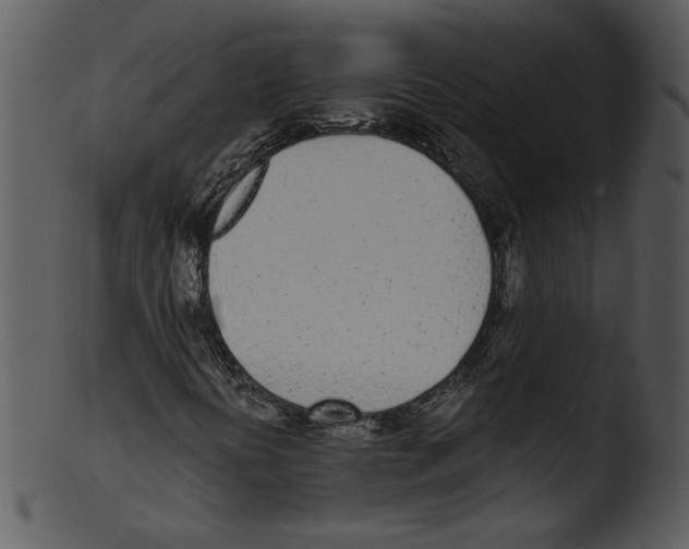 X0000103231394200809251253