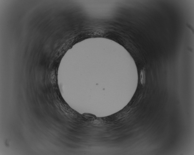 X0000103231395200809251253