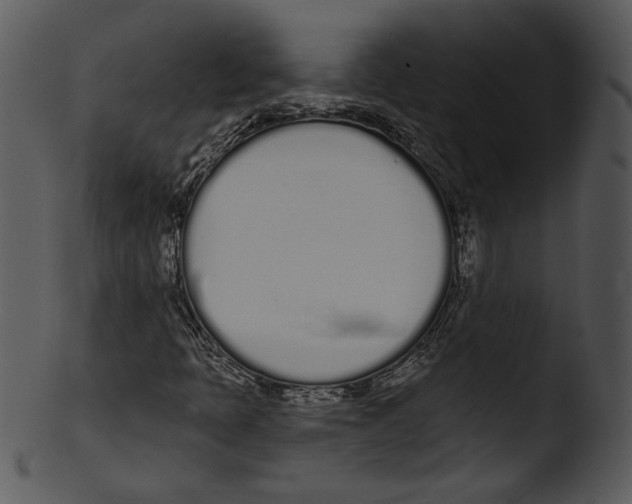 X0000103231397200809251253