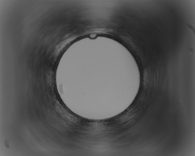X0000103231404200809251253