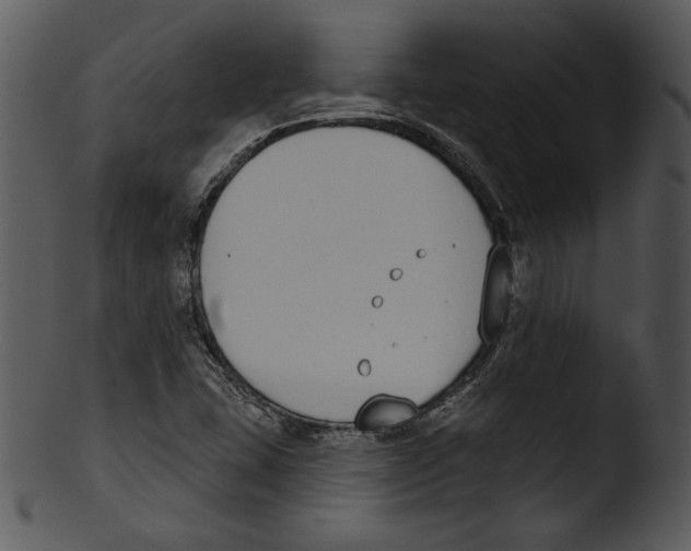 X0000103231407200809251253