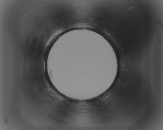 X0000103231408200809251254