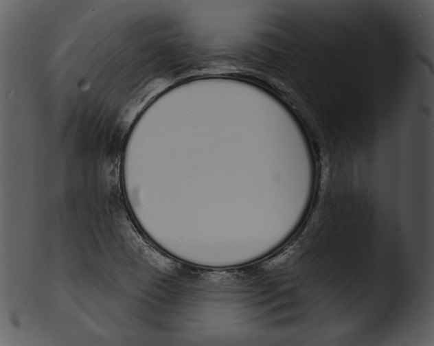 X0000103231409200809251254
