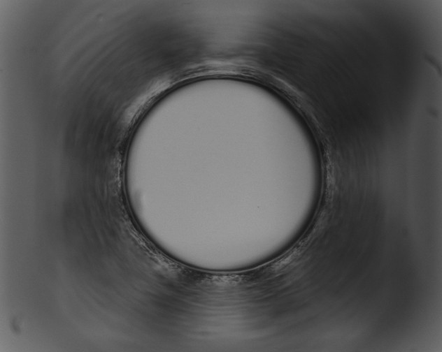 X0000103231411200809251254