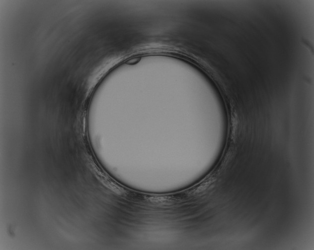 X0000103231413200809251254