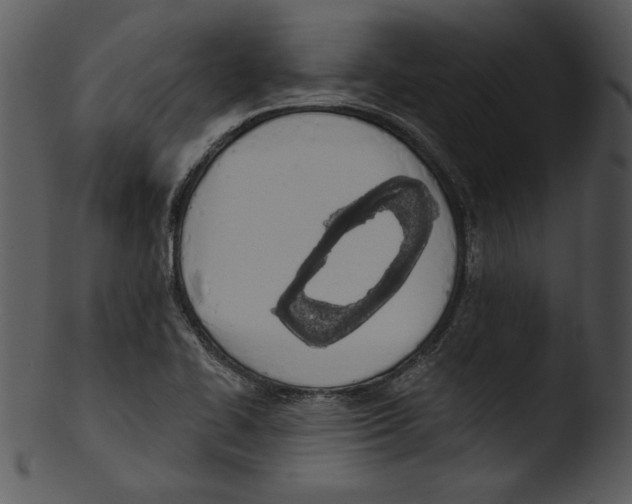 X0000103231414200809251254