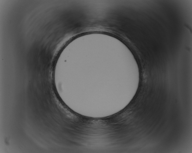 X0000103231416200809251254