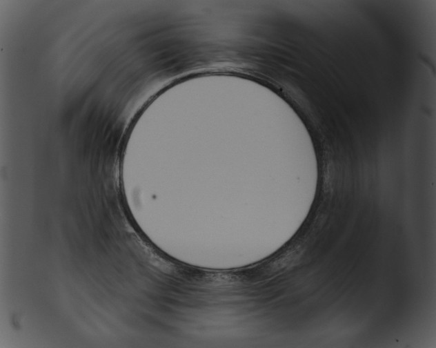 X0000103231420200809251254