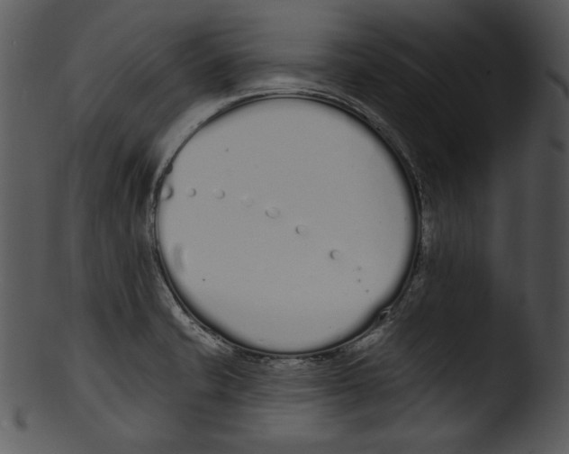X0000103231421200809251254