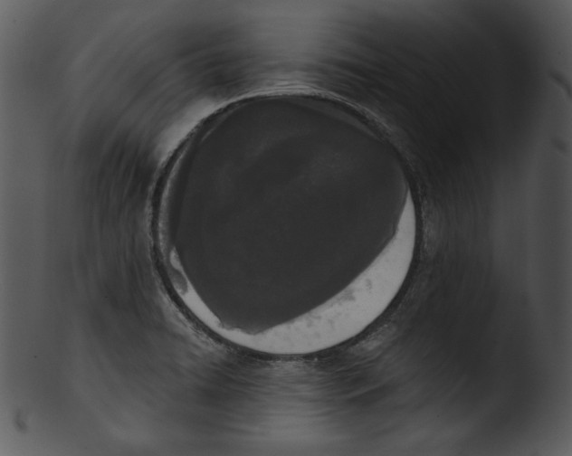 X0000103231422200809251254
