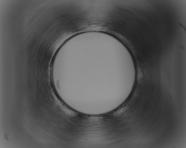 X0000103231423200809251254