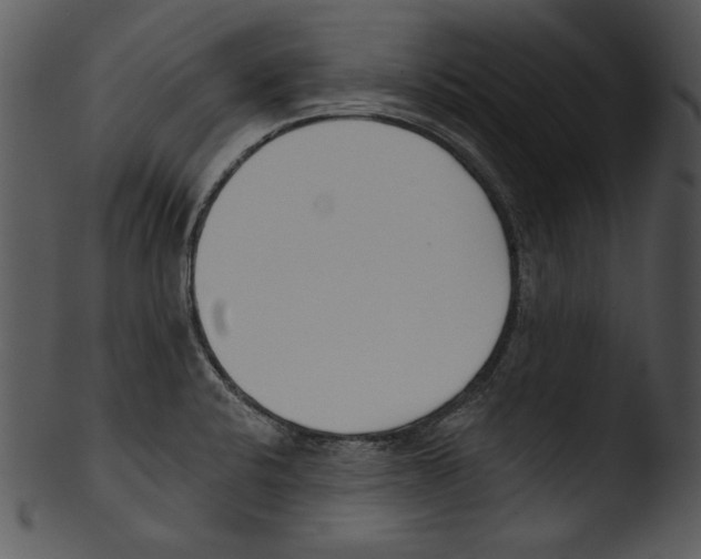X0000103231424200809251254