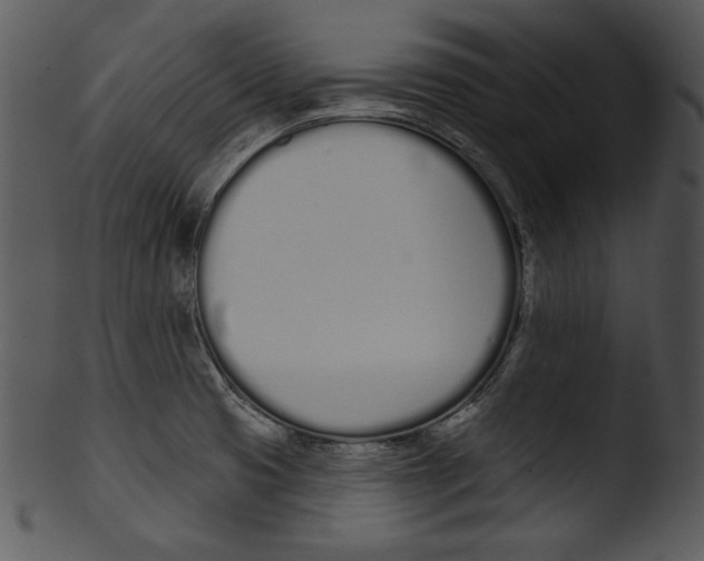 X0000103231425200809251254