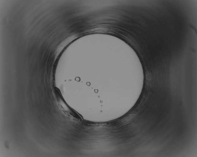 X0000103231426200809251254