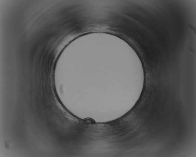X0000103231432200809251254