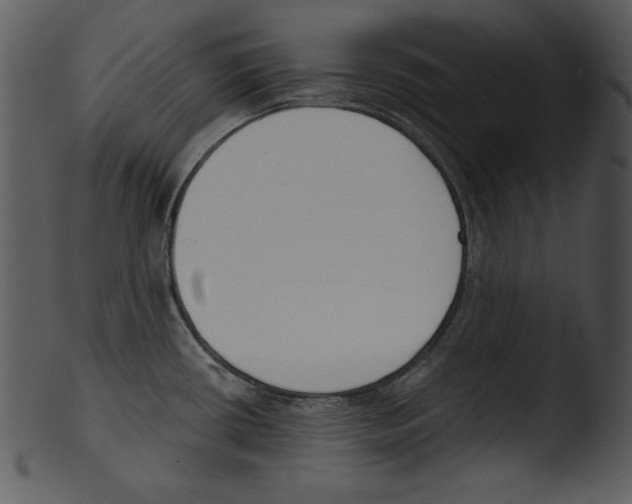 X0000103231434200809251254