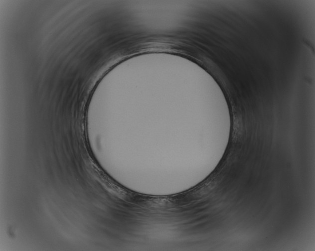 X0000103231435200809251254