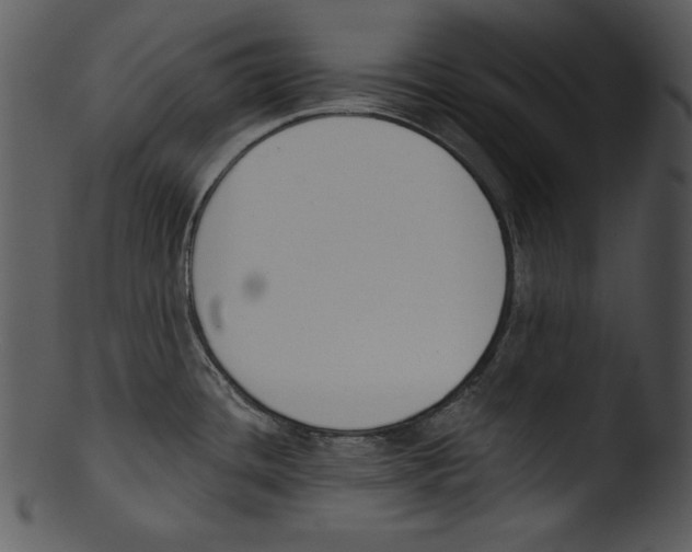 X0000103231436200809251254