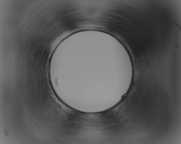 X0000103231437200809251254