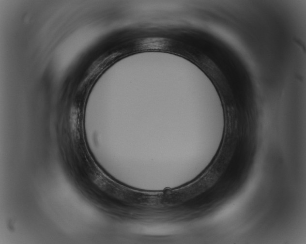 X0000103231438200809251254