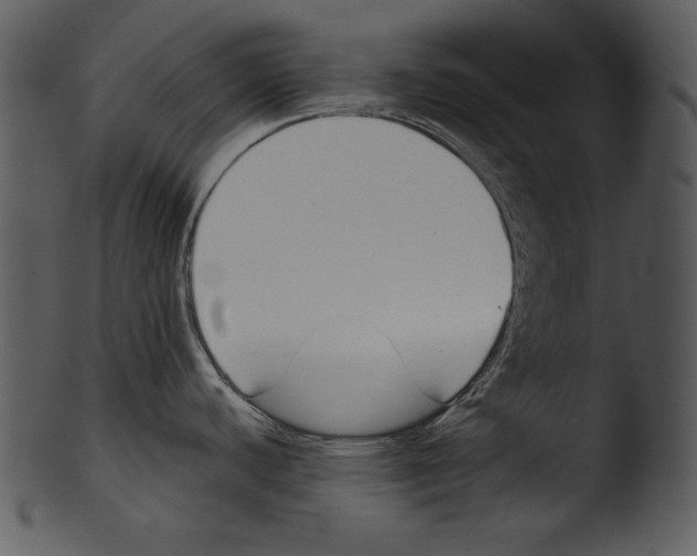 X0000103231440200809251254