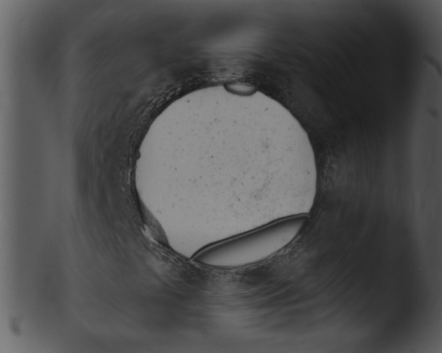 X0000103231441200809251253