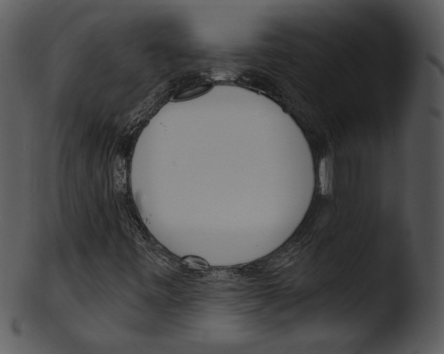 X0000103231443200809251253
