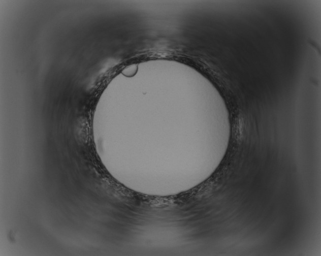 X0000103231446200809251253